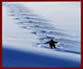 Chugach Powder Guides - Girdwood, Alaska